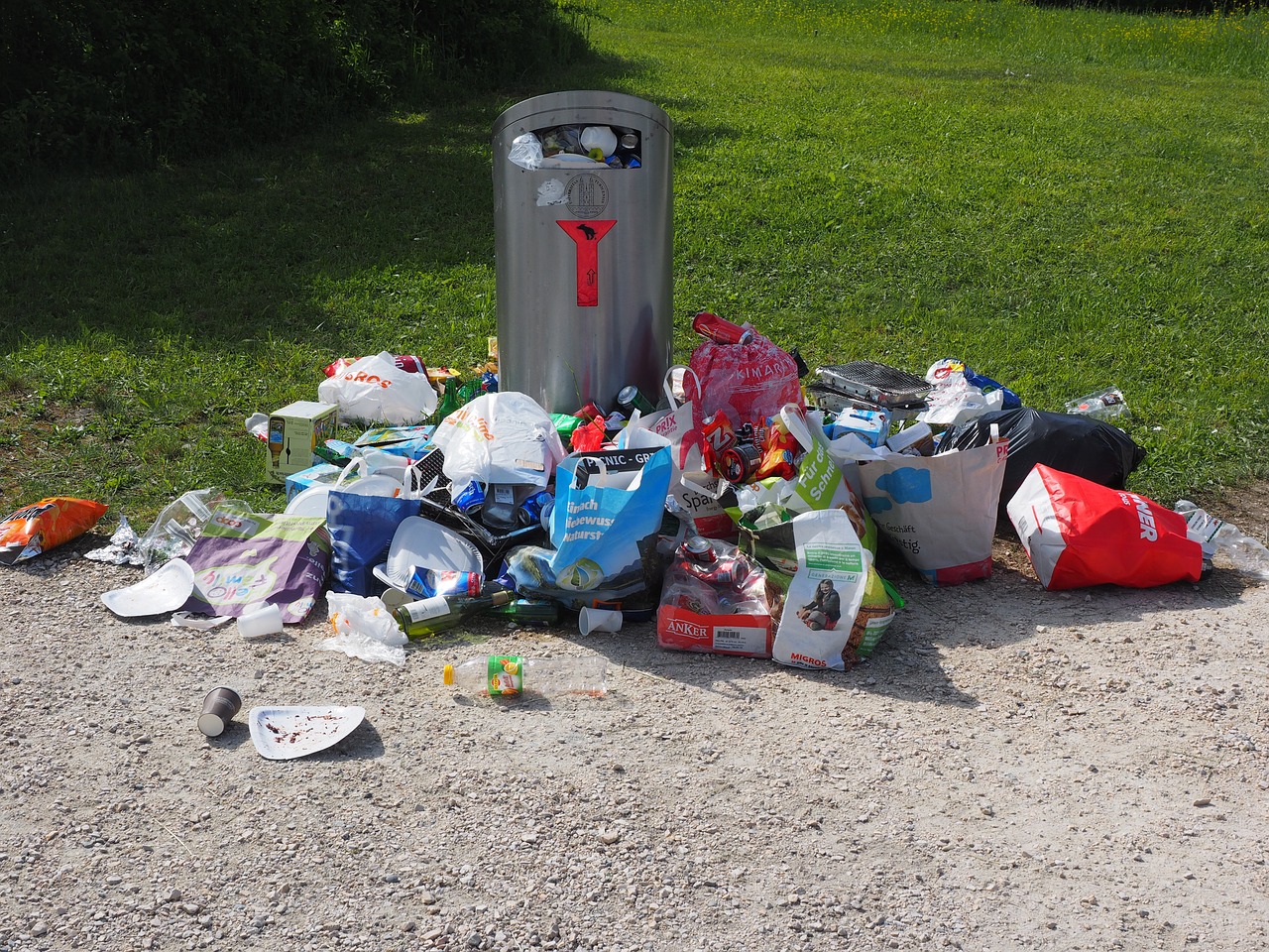 Wymień śmieci na… książkę – wielka akcja sprzątania Szczecina