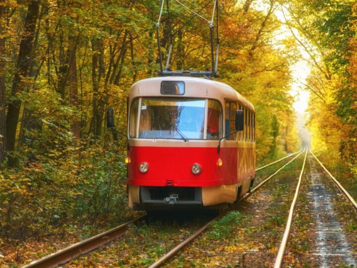 Krajowy Plan Odbudowy: Szczecin rozważa udział w konkursie na dofinansowanie zakupu tramwajów