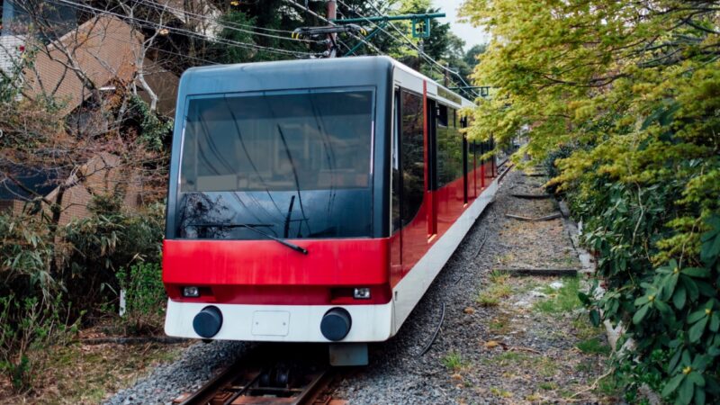 Zakup nowych tramwajów dwukierunkowych przez Tramwaje Szczecińskie: oferta od Modertrans Poznań