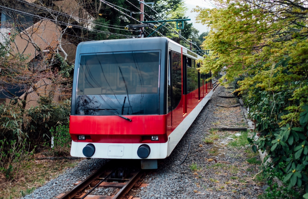 Zakup nowych tramwajów dwukierunkowych przez Tramwaje Szczecińskie: oferta od Modertrans Poznań