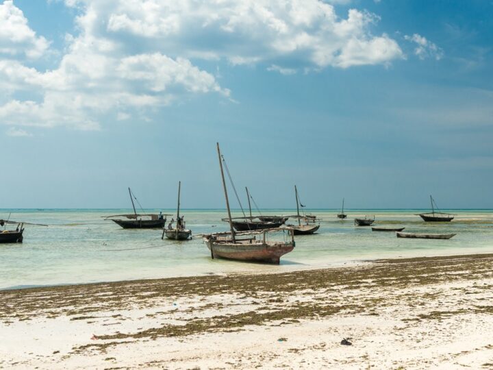 Wakacje na Zanzibarze