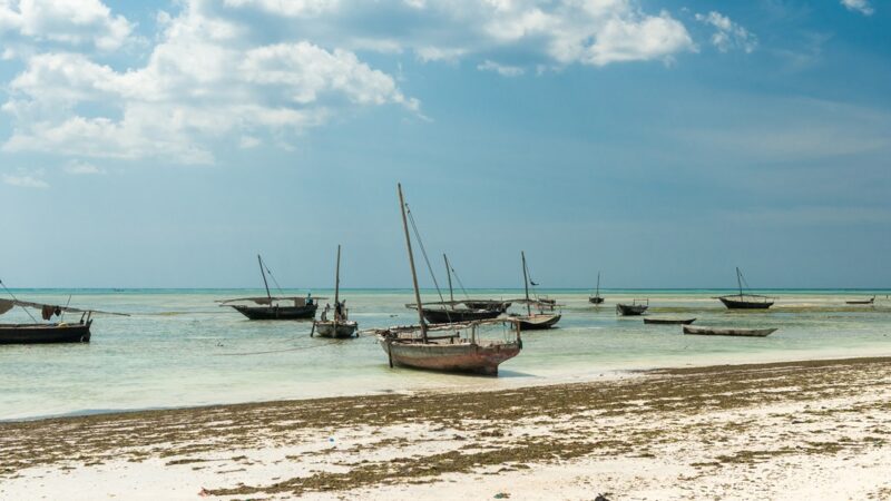 Wakacje na Zanzibarze