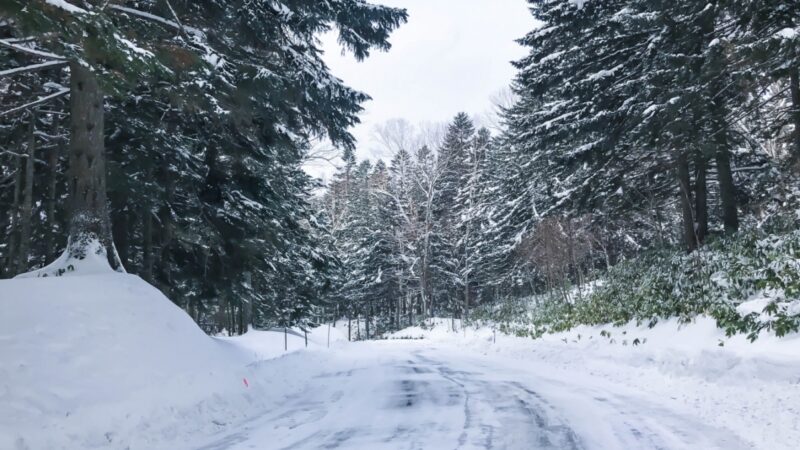 Ekstremalne warunki atmosferyczne spowodowały chaos na szczecińskich drogach i w całym województwie