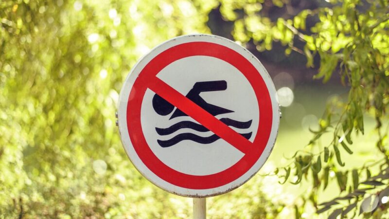 Czerwona flaga na Dziewokliczu: Zakaz kąpieli z powodu sinic!