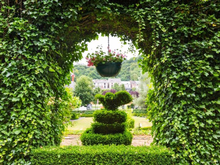 Piastów Chill Garden: Nowa oaza relaksu w Szczecinie już w budowie!