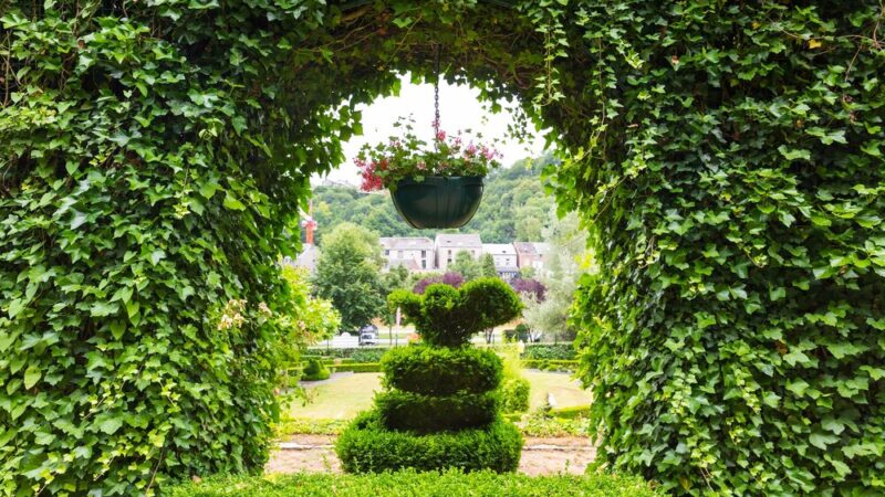 Piastów Chill Garden: Nowa oaza relaksu w Szczecinie już w budowie!