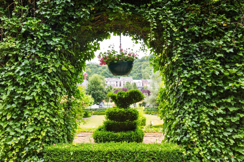 Piastów Chill Garden: Nowa oaza relaksu w Szczecinie już w budowie!