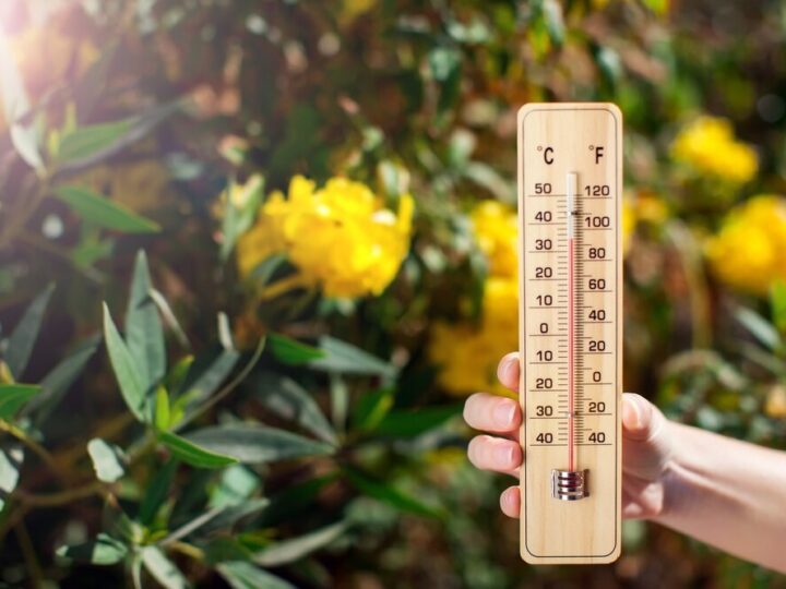 Szczecin w dniu 27.08.2025: Co przyniesie pogoda?