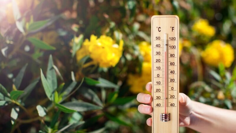 Szczecin w dniu 27.08.2025: Co przyniesie pogoda?