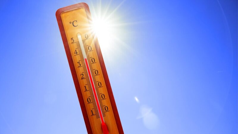 Uwaga na upały! Szczecin szykuje się na gorące dni