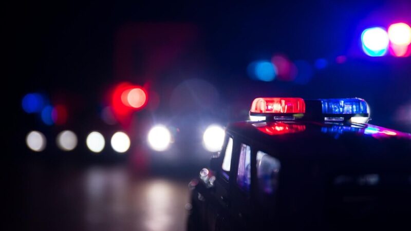 Zatrzymani za kradzież elektronarzędzi: Złodziejski duet w rękach policji