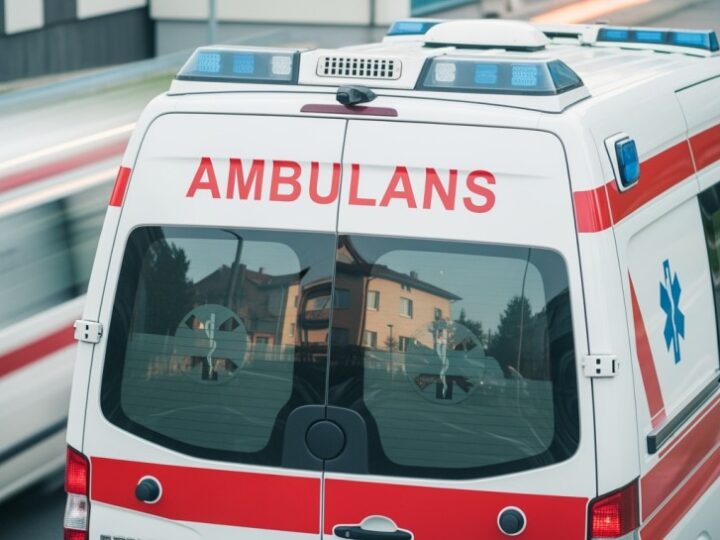 Łabędź uratowany na moście w Gryfinie dzięki błyskawicznej akcji służb!