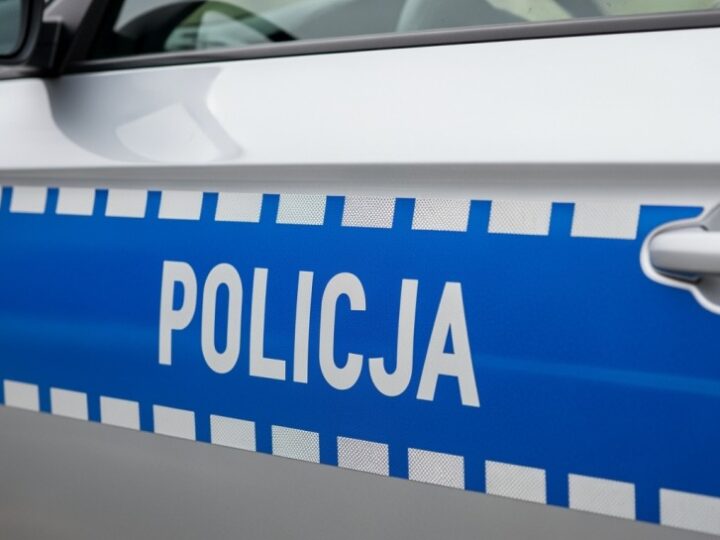 Policja demaskuje narkotykową siatkę: 660 gramów marihuany w areszcie
