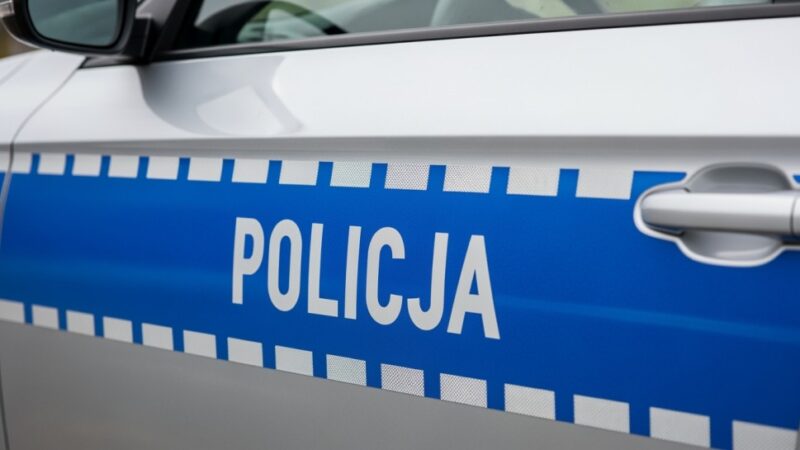 Policja demaskuje narkotykową siatkę: 660 gramów marihuany w areszcie
