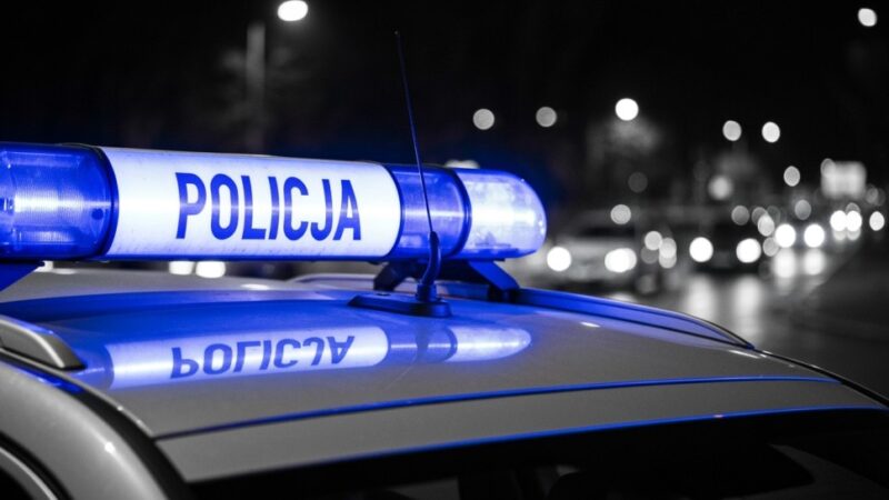 Policja i straż leśna łączą siły w walce z kradzieżami świątecznymi!