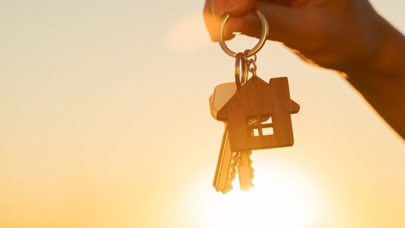 Przetargi na działki budowlane w Gryfino: Twoja szansa na wymarzone miejsce!