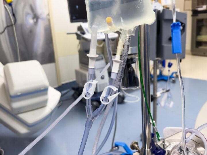 Jesień pełna pasji: Gryfińskie Dni Seniora dla aktywnych!