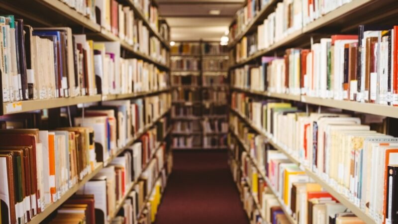 Biblioterapia w Gryfinie: Emocje i wrażliwość przez czytanie