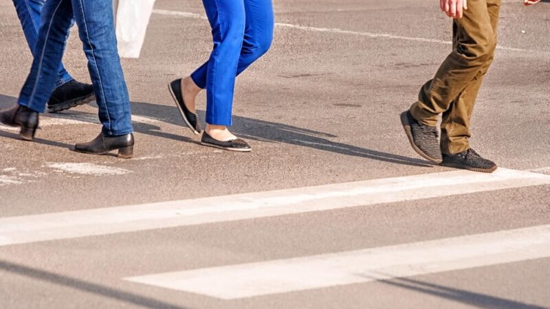 Utracone Talenty – Pamiętamy o Ofiarach Wypadków Drogowych