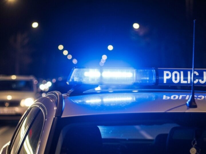 Choinka w Szczecinie okradziona! Złodziej zniszczył świąteczną magię