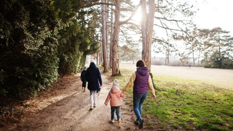 Bal dla Babć i Dziadków w Policach: Święto Miłości i Wdzięczności
