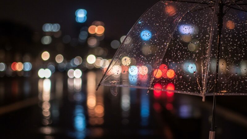 Gęsta mgła w Szczecinie: Uwaga na ograniczoną widoczność!