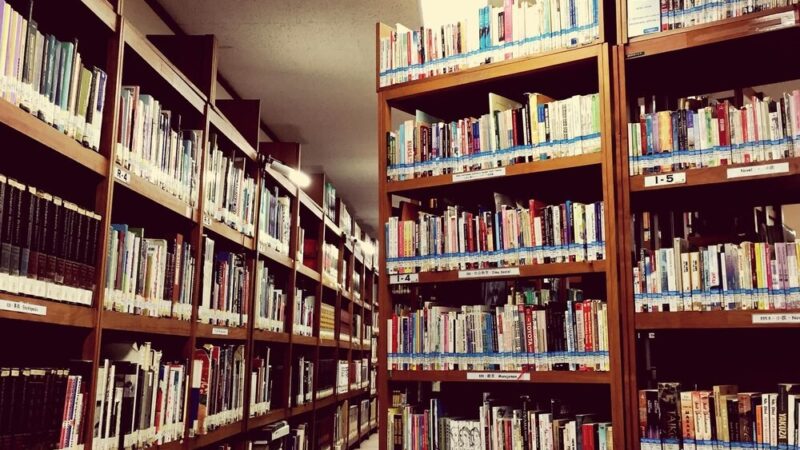 Literacka uczta w Gryfinie: Spotkanie z Magdaleną Wolińską-Riedi!