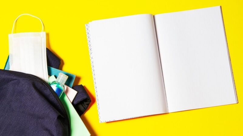 Mali Odkrywcy w Urzędzie: Pierwsze Kroki w Świecie Administracji