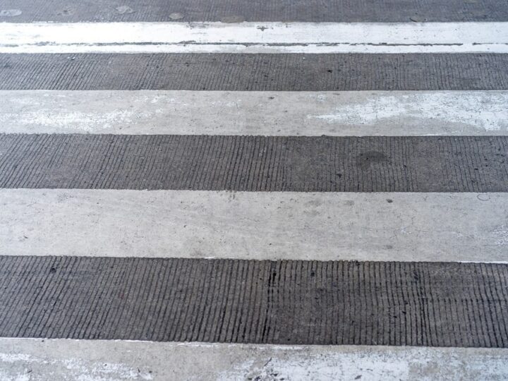 Zimowa misja strażników: pomoc rannemu łąbędziowi