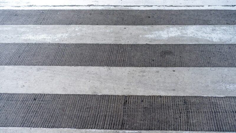 Zimowa misja strażników: pomoc rannemu łąbędziowi