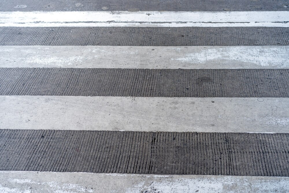 Zimowa misja strażników: pomoc rannemu łąbędziowi