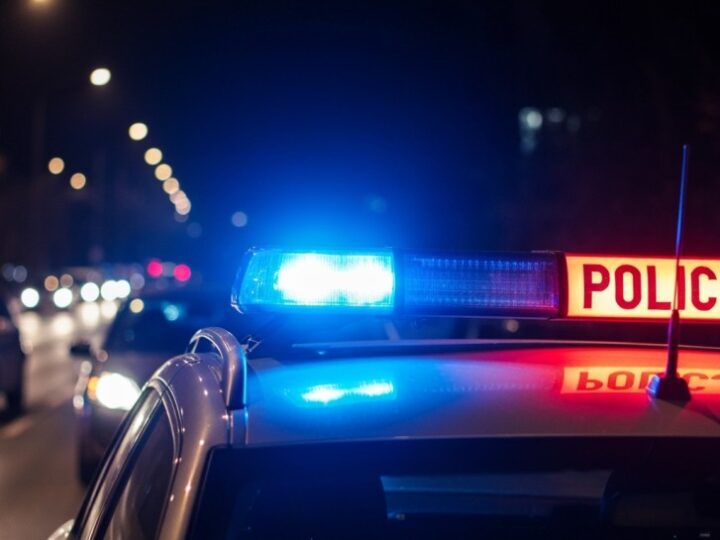 Policja rozbiła gang fałszerzy – przejęto odzież wartą 2 miliony złotych!