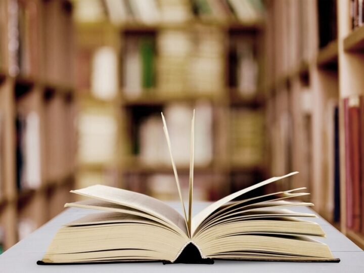 Wiosenne Inspiracje w Szczecinie: Spotkania, Warsztaty i Kwitnące Kwiaty