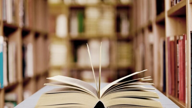 Wiosenne Inspiracje w Szczecinie: Spotkania, Warsztaty i Kwitnące Kwiaty