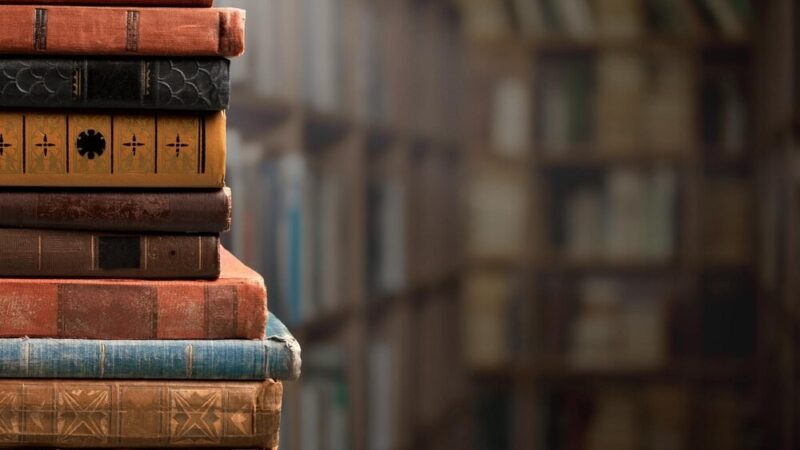 Ostatnia szansa na imię dla kociego bibliotekarza!