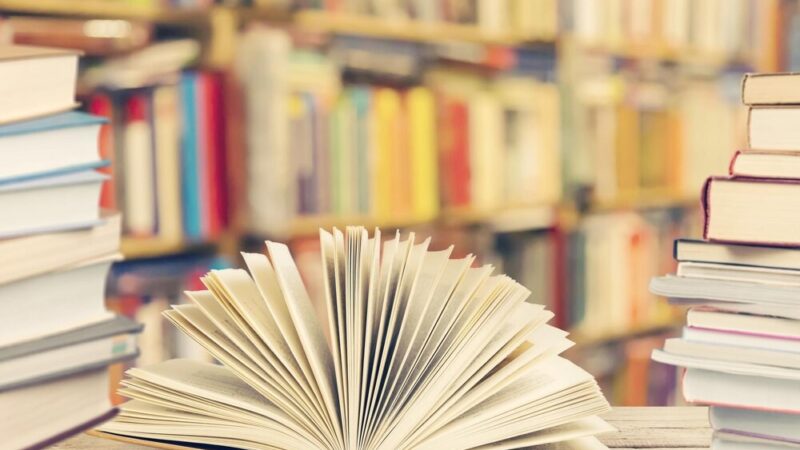 Odkryj Stanisławę Siarkiewicz w nowym „Gryfińskim Zeszycie”!