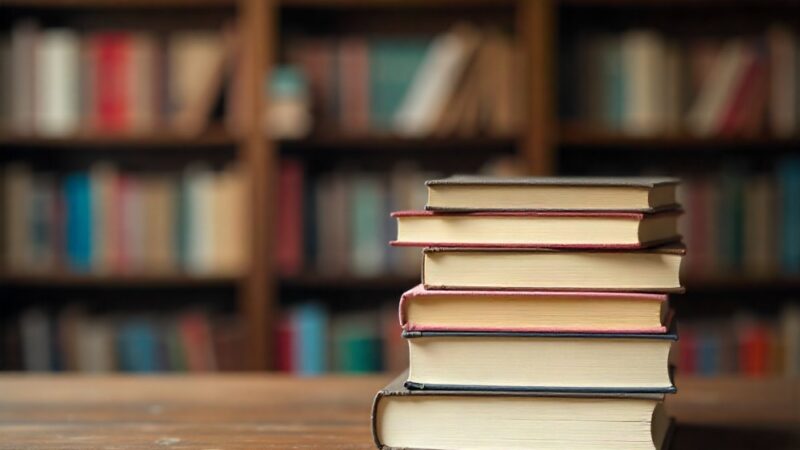 Magiczne kolory literatury: Tydzień Bibliotek w Kołbaskowie