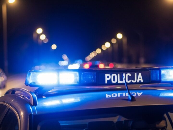 Złodzieje w akcji: Budowlańcy i truskawkowy przestępca w Szczecinie
