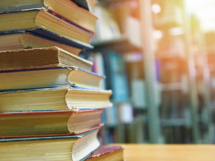 Gryfuś z Dąbia: nowy skrzydlaty przyjaciel biblioteki odkrywa sekrety Szczecina
