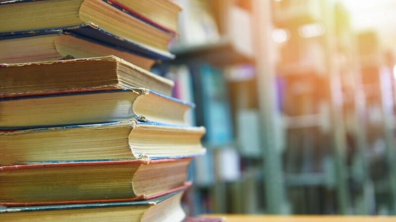 Gryfuś z Dąbia: nowy skrzydlaty przyjaciel biblioteki odkrywa sekrety Szczecina