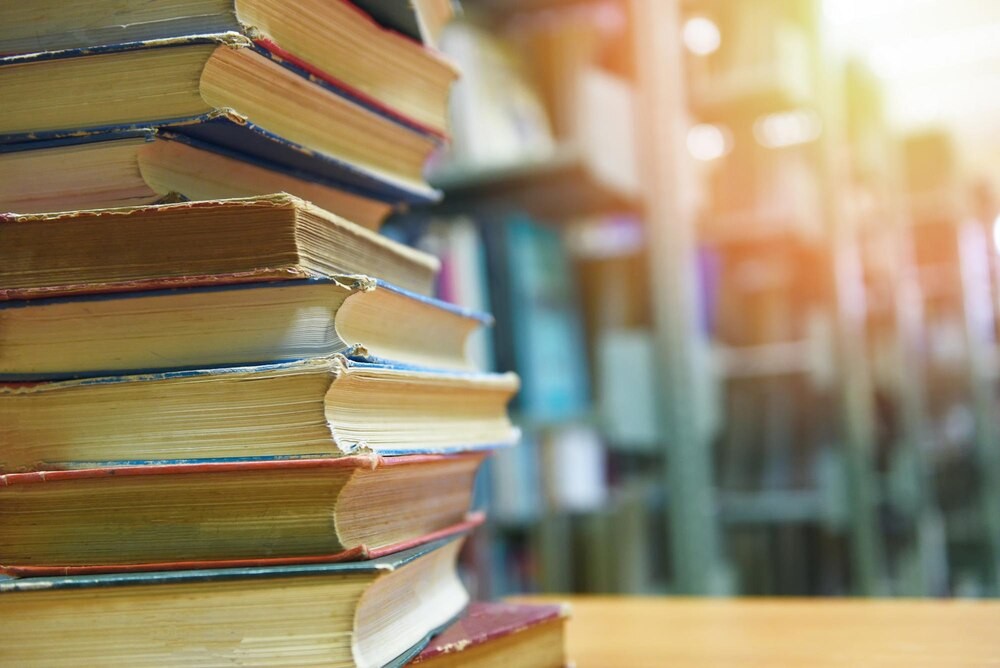 Gryfuś z Dąbia: nowy skrzydlaty przyjaciel biblioteki odkrywa sekrety Szczecina
