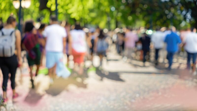 Szczecin walczy z samotnością seniorów: Nowa inicjatywa „mali bracia Ubogich”
