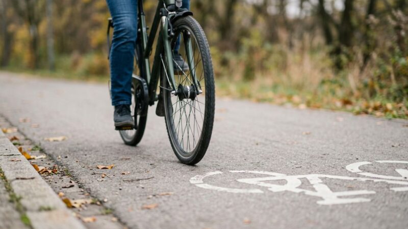 Rowerowy quest w Gryfino: odkryj skarby natury już 25 października!