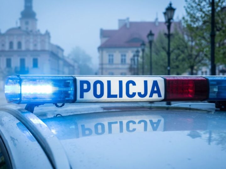 Policyjny pies rozwiązał zagadkę kolizji i złapał uciekiniera