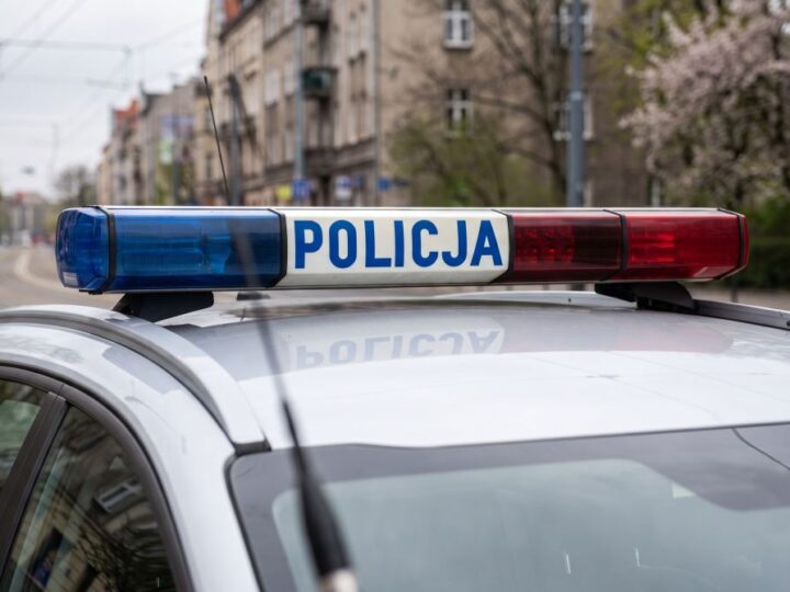 Pies policyjny w akcji: tropi uciekiniera po kolizji!