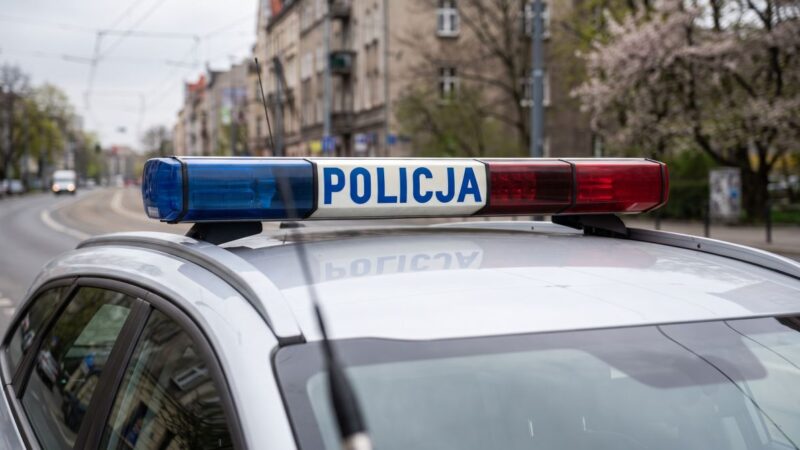 Pies policyjny w akcji: tropi uciekiniera po kolizji!